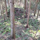 堀切