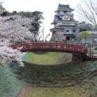 桜横堀赤橋越しに展望台小山城を見る
