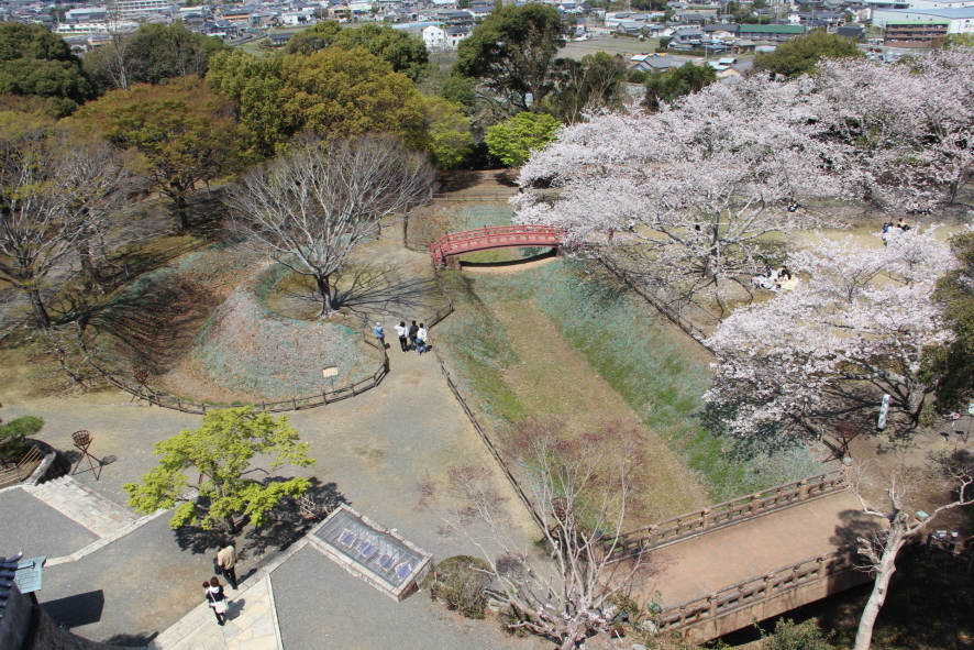 展望階より丸馬出・横堀・桜を眺める