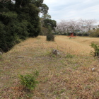 南側の土塁上部を西から東へ