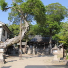 皇太神社境内
