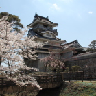 本郭より桜腰の展望台小山城
