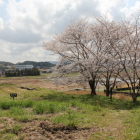 東の丸内部