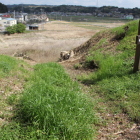 東の丸北大土塁間の大竪堀上より