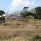 東の丸を北東より望む