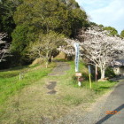 千畳敷への登城坂