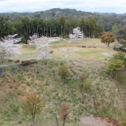 東尾根曲輪より２・３曲輪の桜を望む遠くに静岡空港