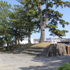 二の丸黒松と土塁