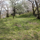 二の丸と土塁と桜