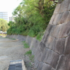 主郭部西の土塁と復元石垣