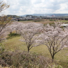 高見より南の丸を望む
