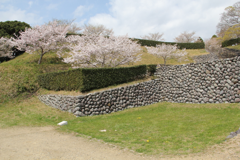 大手櫓門西側方向の桜