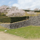 大手櫓門西側方向の桜