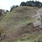 東尾根曲輪と桜