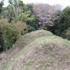 東尾根曲輪より五連続堀切と山桜