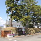 表二の丸黒松と土塁案内パネル有り
