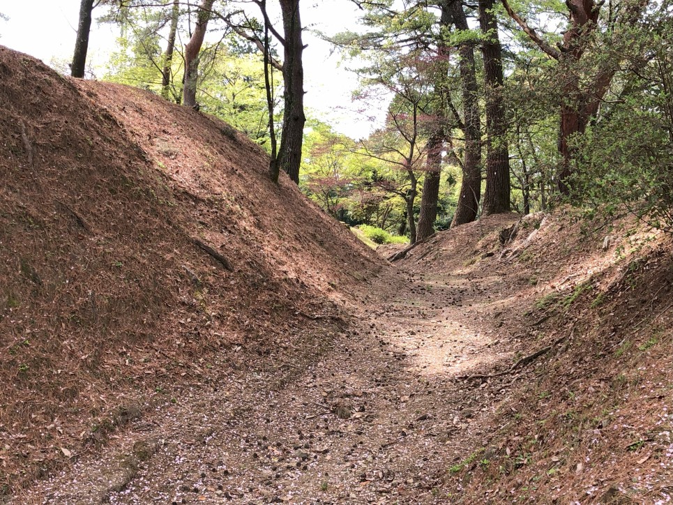 東虎口側の内堀・横堀は桜の絨毯と土塁