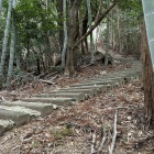 延々と続く石段