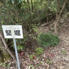 竪堀