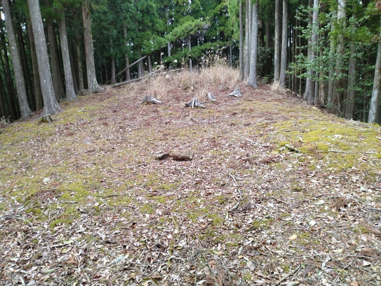 主郭