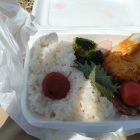 ガイドツアーのお弁当