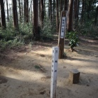 仙元山
