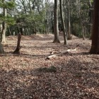百庚申と浅間社