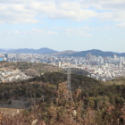 岡山市街