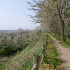 本丸西側の土塁
