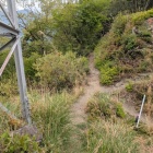 登山道を登ったところの堀切