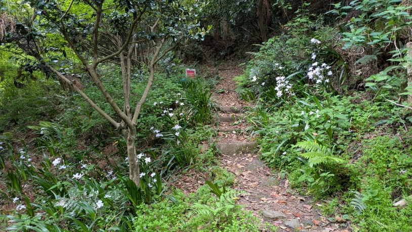 登城口