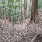 北に落ちる竪堀