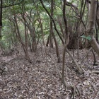 直登の途中で竪堀