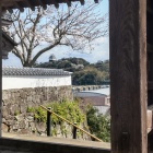 ④	門の内側より平戸城を覗く