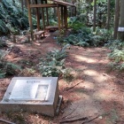 ②	ピングシ山（掘立柱建物跡）