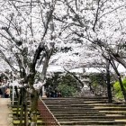⑦	大手門から二ノ丸への階段