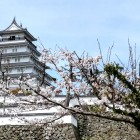 ①	桜と天守