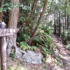 ①	東屋からピングシ山へ下る道