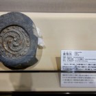 ⑤	金箔瓦レプリカ（遺産記念館より）