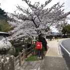 ⑤	眼鏡橋前