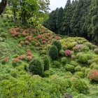 花が綺麗