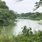 千鳥ヶ淵