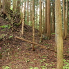 円錐状の物見台とA郭(主郭)