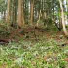枡形虎口状遺構の正面2つの開口部