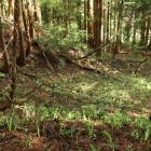 上から見る枡形虎口状の遺構
