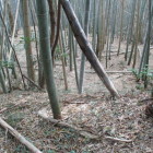段となり郭が続く