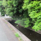 境内前の水路