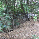 社殿右の堀