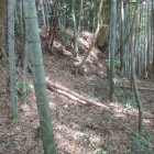 主郭下からの高低差