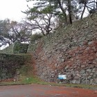 蜜柑丸跡から巽櫓跡方面を望む